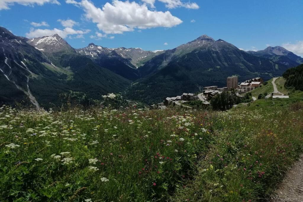Bel Appartement Montagne Dans Le Parc Des Ecrins オルシエール エクステリア 写真
